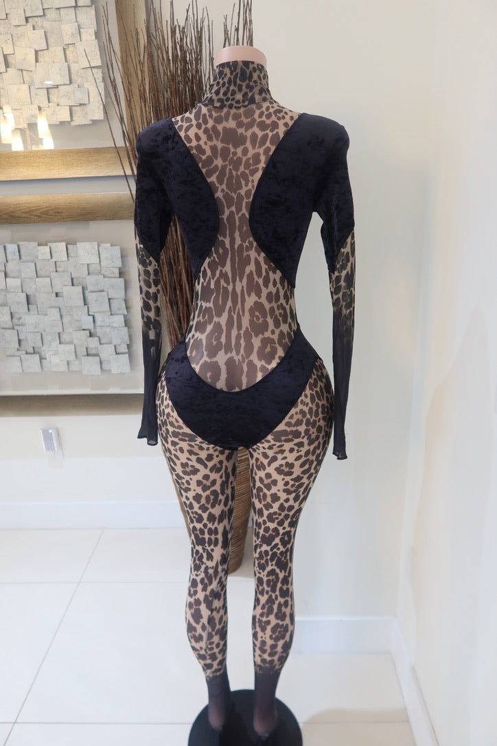 Roberto Cavalli Jumpsuit