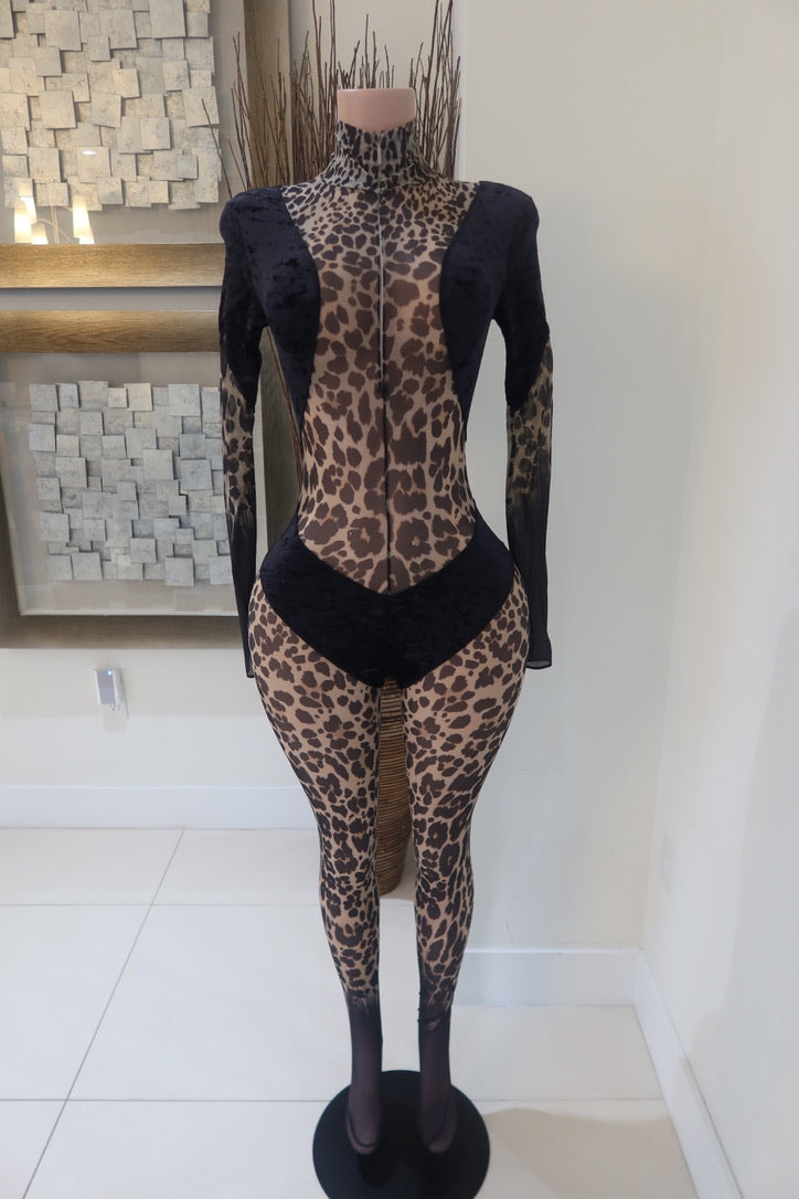 Roberto Cavalli Jumpsuit