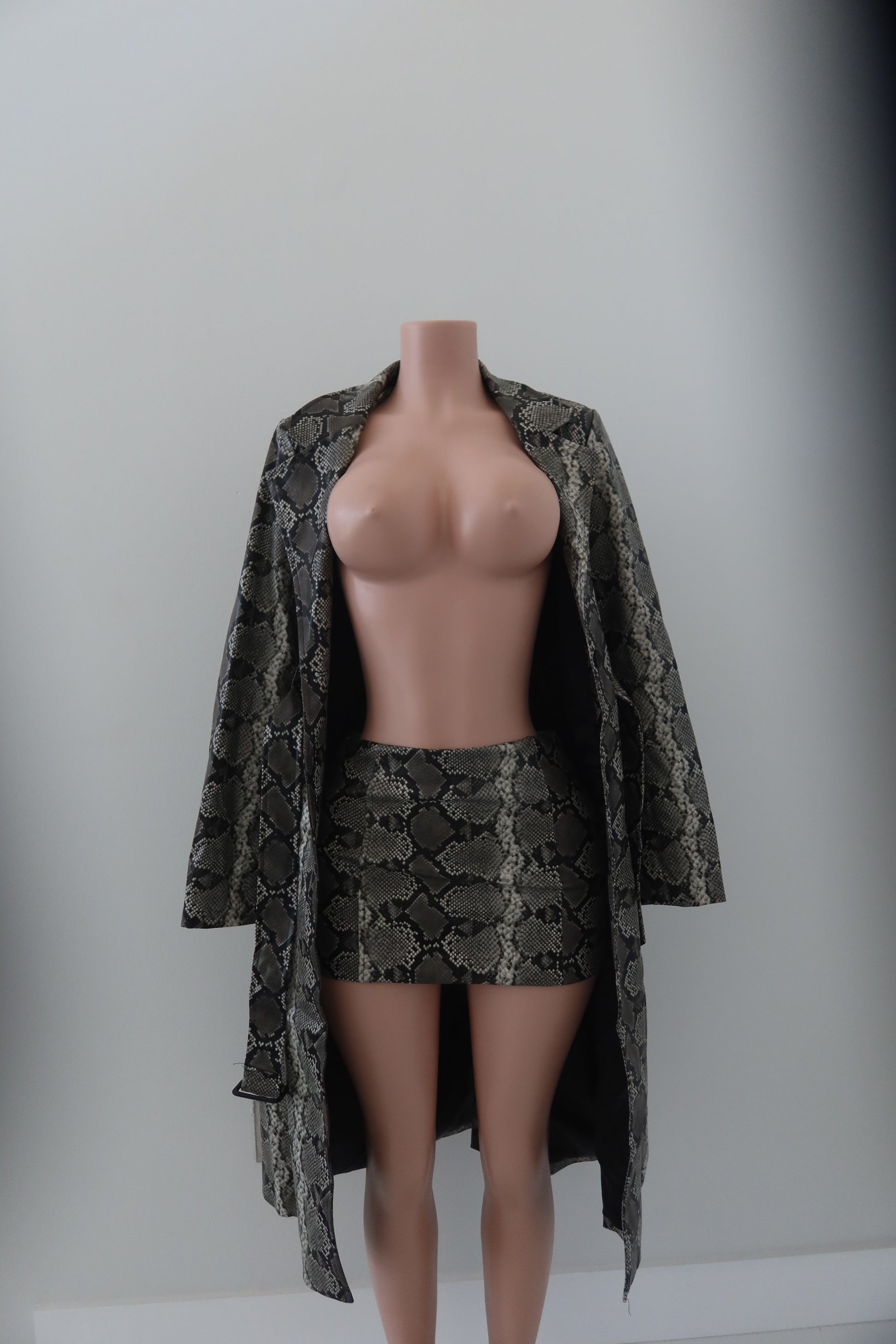 JGR & STN Trench Coat, Top, & Skirt