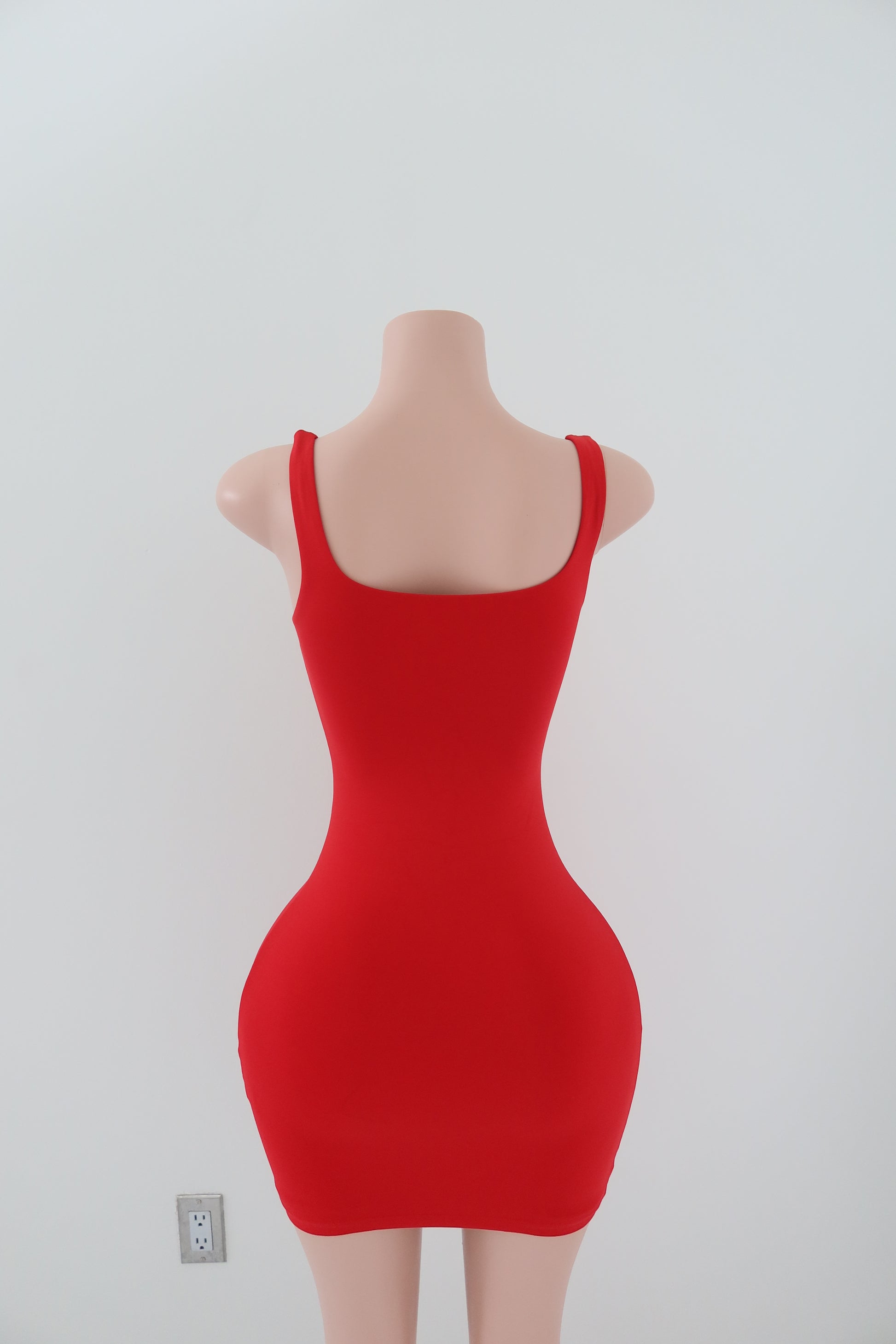 Aritzia Babaton Dress