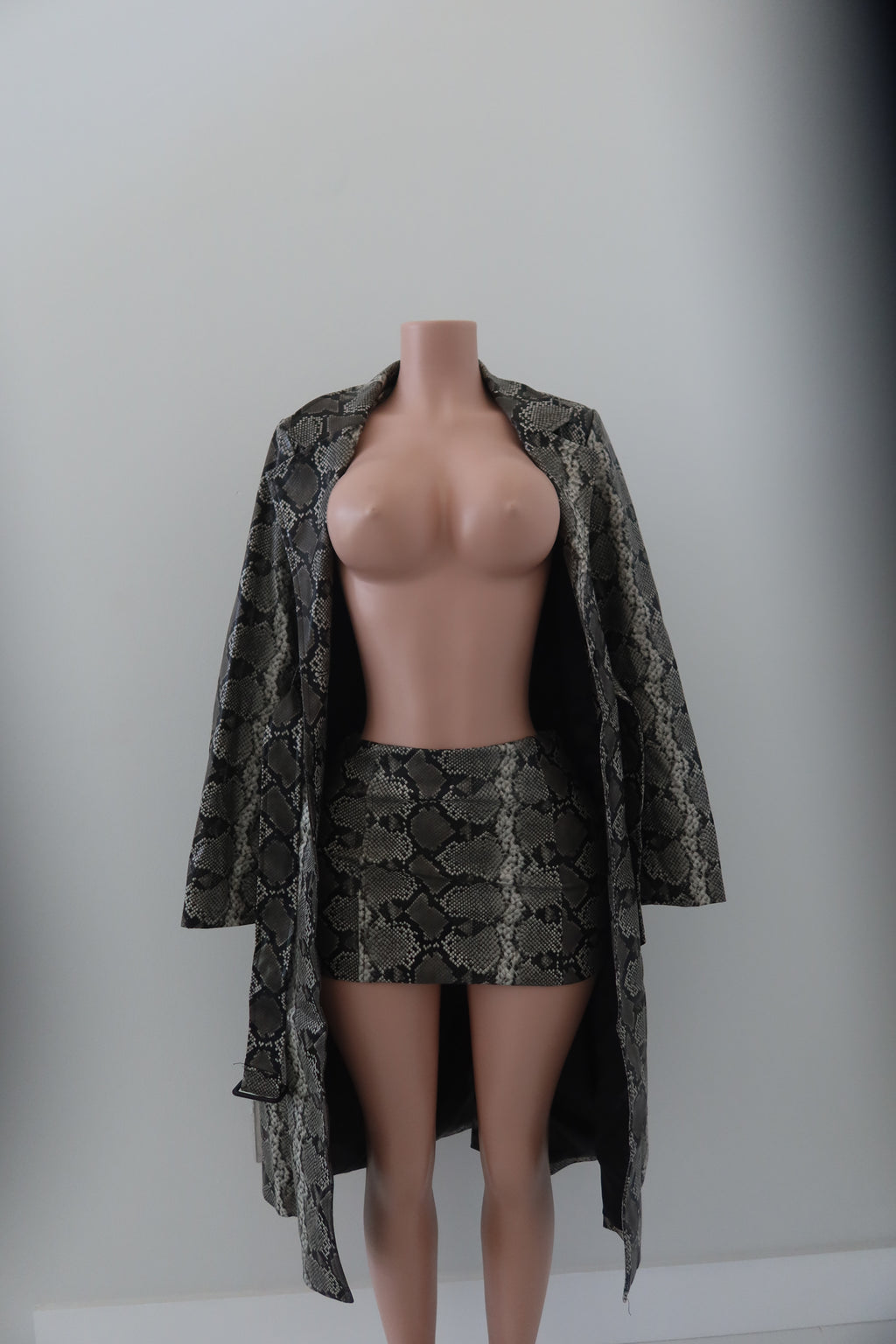 JGR & STN Trench Coat, Top, & Skirt